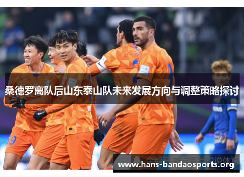 桑德罗离队后山东泰山队未来发展方向与调整策略探讨