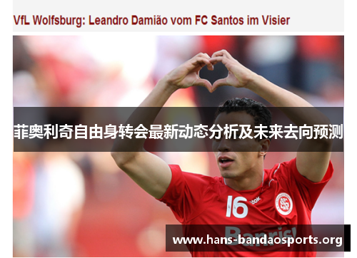 菲奥利奇自由身转会最新动态分析及未来去向预测 菲奥利奇自由身转会最新动态分析及未来去向预测